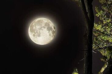 Oakcliff Bed And Breakfast