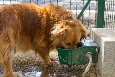 Alberg Cabrera De Mar Xanascat