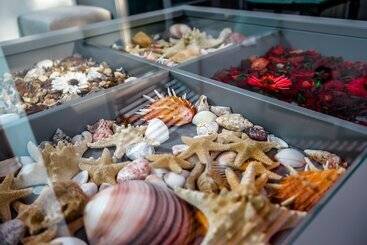 Отель Villa Deja Vu