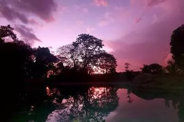 リゾートホテル Sertão Veredas Hotel Fazenda