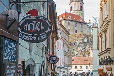 هتل U Maleho Vitka