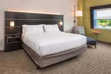 Hotel Holiday Inn Express & Suites Tampa North Wesley Chapel, An Ihg