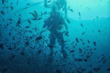 Pensionat Eden Beach Resort