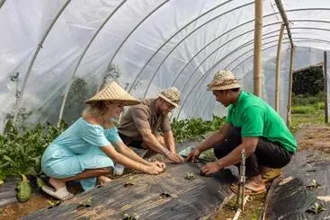 Hotel Munduk Tentrem Resort