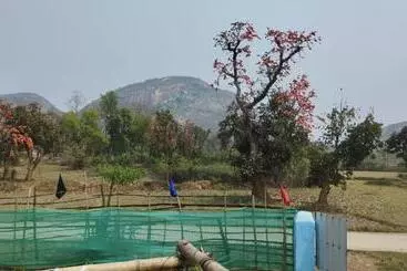 Palash Pahar Resort