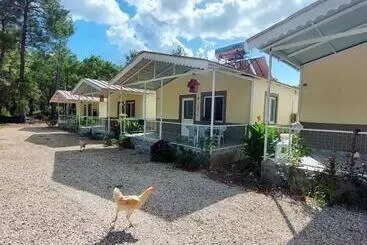 هتل آپارتمان Olympos Yörük Otaği Apart Evleri̇