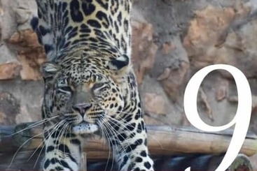 ホテル Gold Reef Place