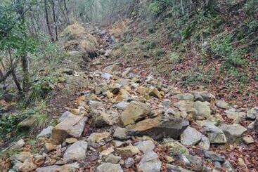 ベッドアンドブレックファースト Lou Mas Del Ranc