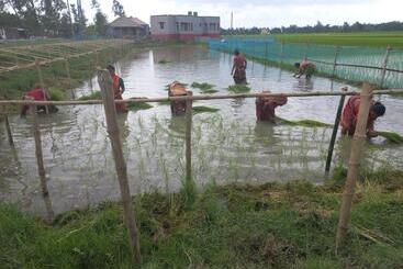 Resort Kumirmari Ecotourism