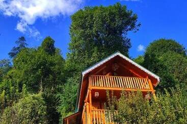 膳宿费 The Tree Top Treehouse Jibhi