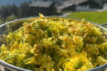 בית מלון כפרי Erzhorn