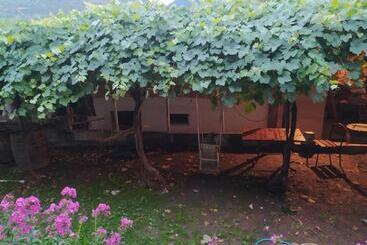 پانسیون Guest House Nene