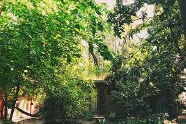 ユースホステル Eco Cabaña Bioconstruccion