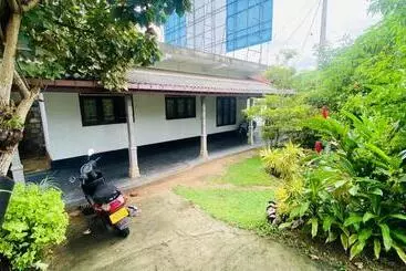 Majatalo Mellow Yellow