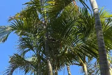 Pensionat Serene Accommodation Palace