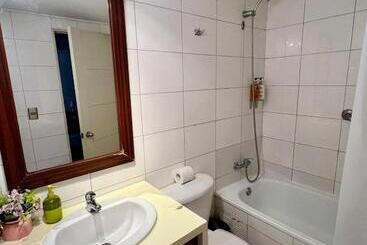 アパートホテル Tremo Santiago Suite Aparment