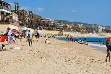 هتل آپارتمان Elegant Condo In An Upscale Building