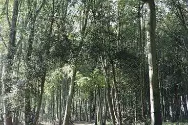 Majatalo Le Domaine Saint Ange