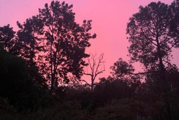 פנסיון Tamborine Guest House