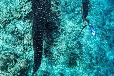 Hotel Raalhu Fonu Maldives