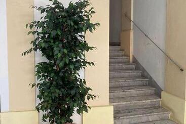 膳宿费 The Inga Rooms Marina