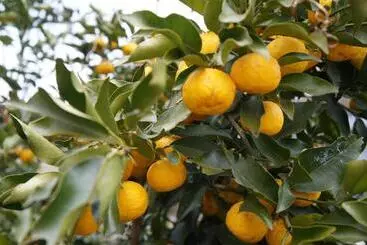 Hotel 離島 宿navelの学校 三原港から船で14分