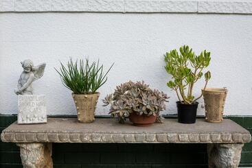 膳宿费 Silver Linings Guesthouse