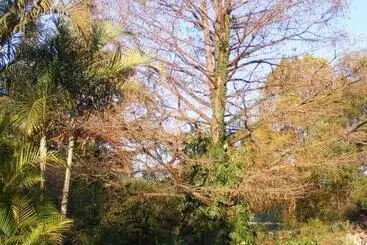 Majatalo The Rawstornes