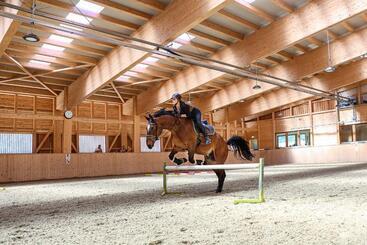 בית מלון כפרי Familienresort Buchau