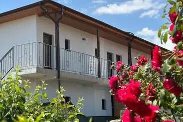 Pensionat Vila Bloom