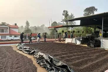 Heights Farm Stay   Coffee Estate Stay
