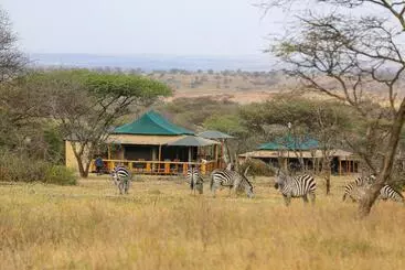 ホテル Ndoto Serengeti Camp