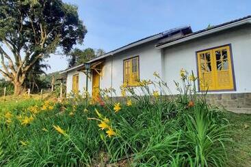 膳宿费 Acomodações Gaia Magia