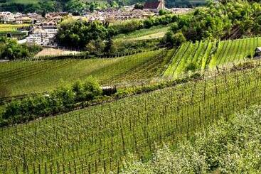 Belia Lofts   Adults Only   Apartments