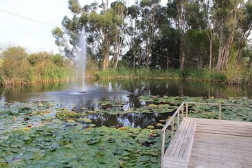דירות לתיירים Le Jardin Villa