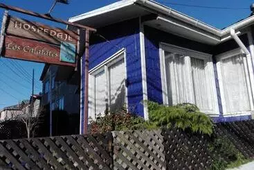 ペンション Hospedaje Los Calafates