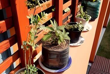 مبيت وإفطار Pouso Do Guarani   200m Do Mar|wifi|ar Cond