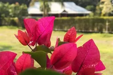 リゾートホテル Villa De Hollong