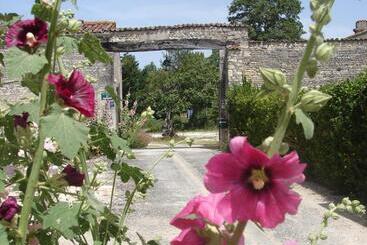 ベッドアンドブレックファースト La Collegiale