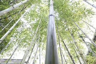 בית מלון כפרי Kazahaya