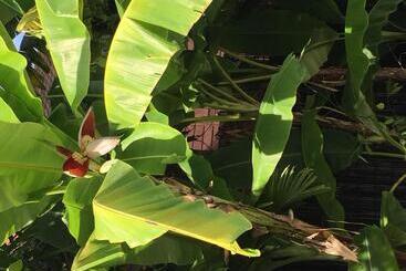 هتل Sam So Boutique Villa