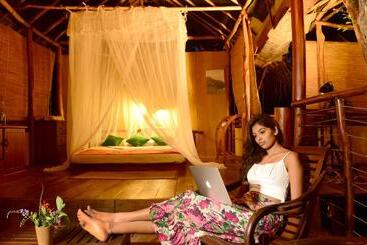 Hotel Back Of Beyond   Wild Haven