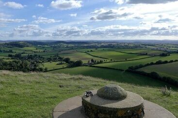 Bed and Breakfast The Willows