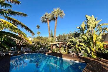 ホテル Altea Paradise 1917   Adults Only