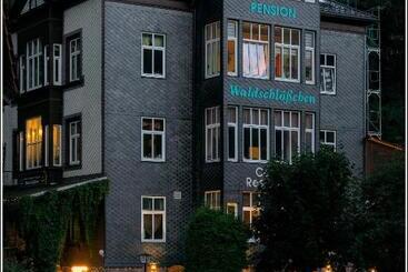 Otel Pension Waldschlösschen