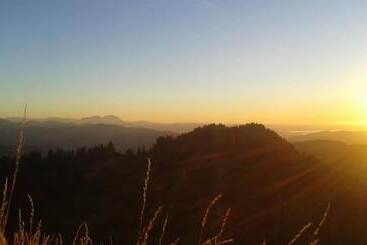 Hotelli Berghüs Schratt Einfach Anders Ihr Vegetarisches Und Veganes Bio