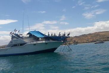 Las Tortuguitas Bungalows