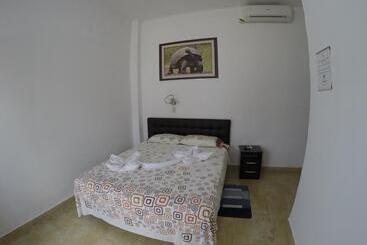 هاستل Stefany's Lodging