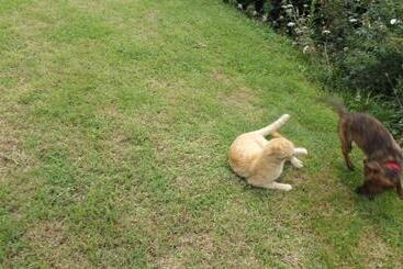 مبيت وإفطار Chambres D Hôtes Le Belvédère