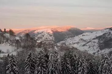 Bed and Breakfast La Ferme Du Vieux Sapin